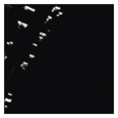 Details are in the caption following the image