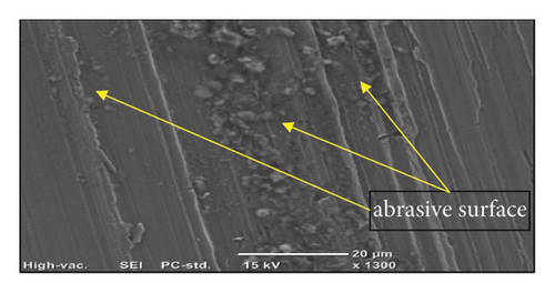 Details are in the caption following the image