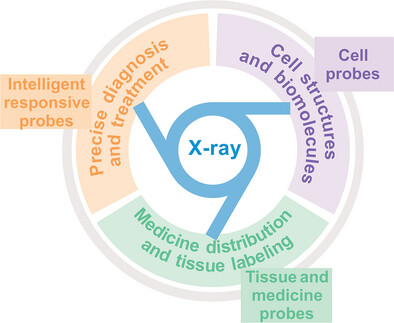 Synchrotron-Based X-Ray Molecular Probes for Imaging in Intelligent Biomedicine