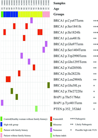 Detection of novel germline mutations in six breast cancer predisposition genes by targeted next-generation sequencing