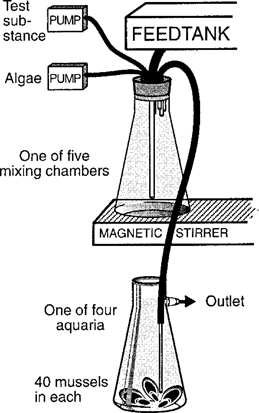 Details are in the caption following the image