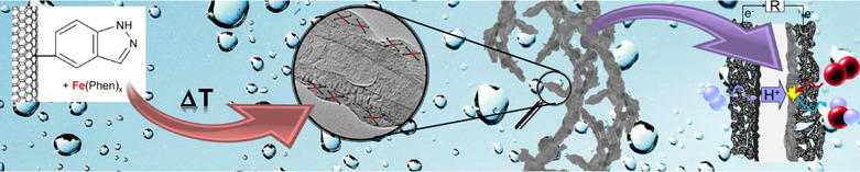 Impact of Surface Functionalization on the Intrinsic Properties of the Resulting Fe–N–C Catalysts for Fuel Cell Applications