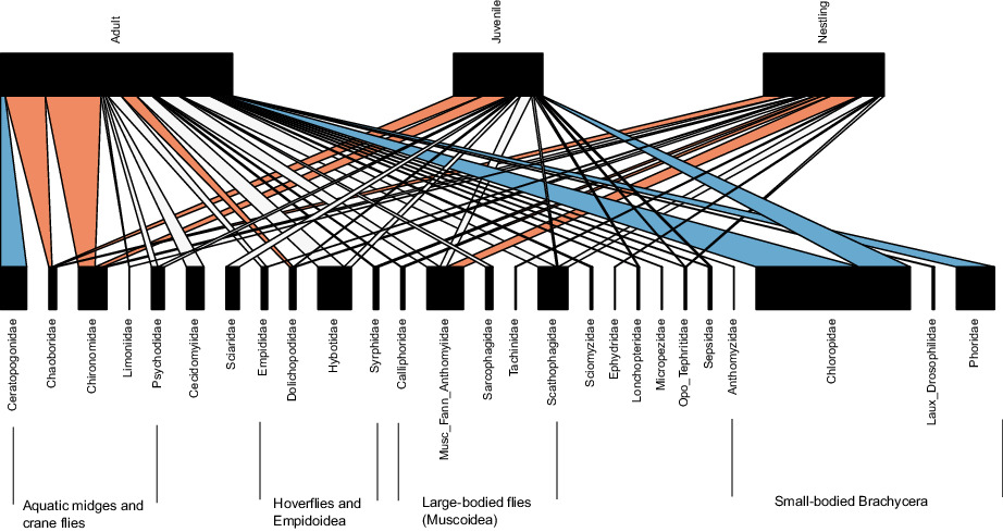 Seasonal and ontological variation in diet and age-related differences in prey choice, by an insectivorous songbird