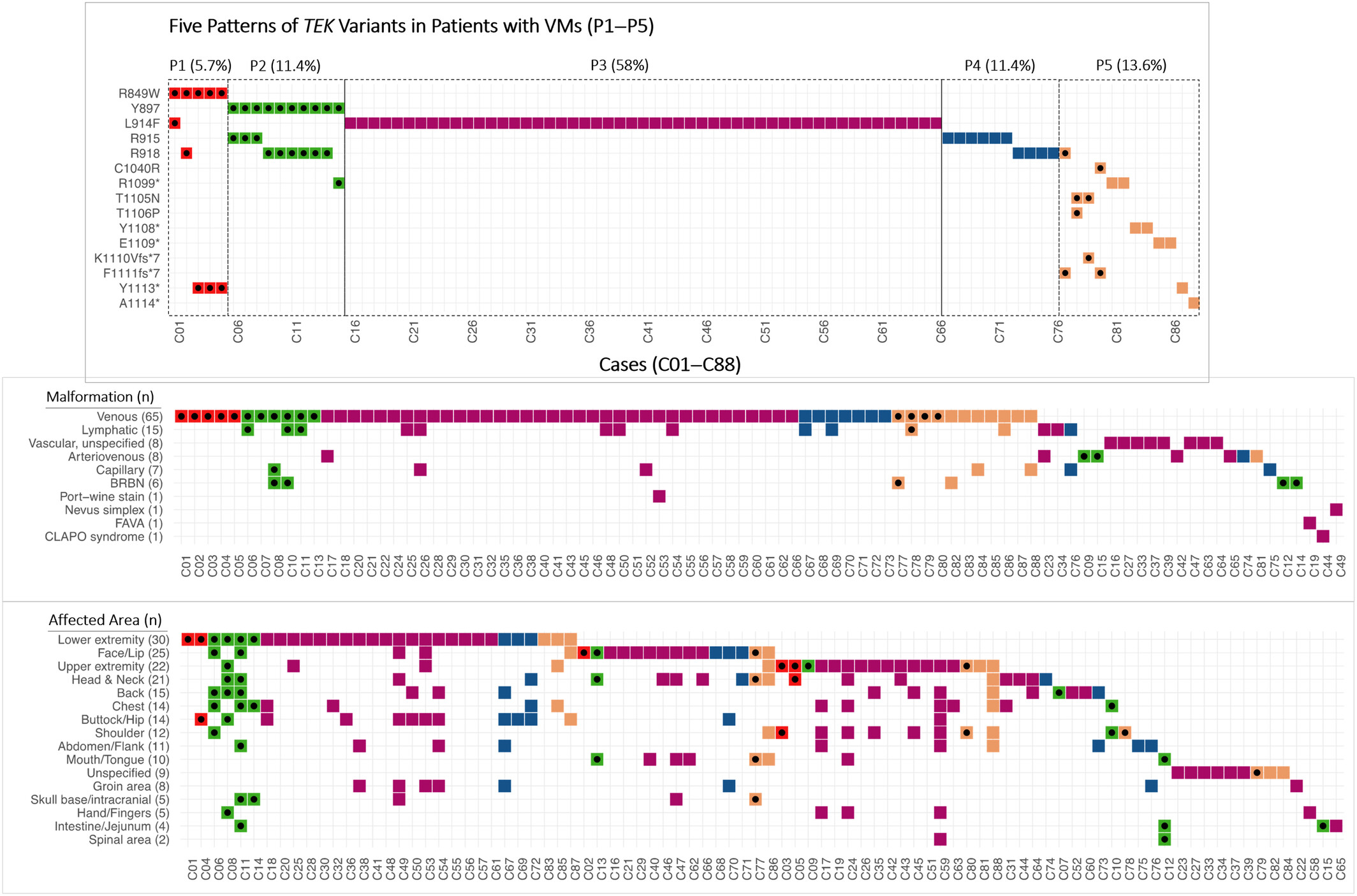 Comprehensive Analysis of
TEK
Variants in Patients With Vascular Malformations