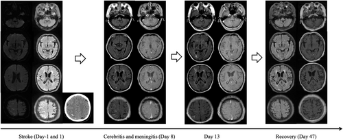 Details are in the caption following the image Details are in the caption following the image