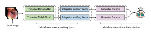 Details are in the caption following the image Details are in the caption following the image