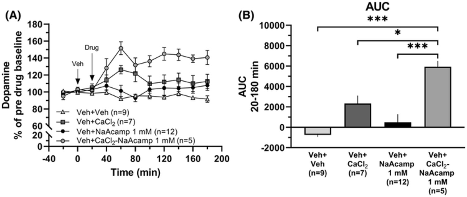 Sodium acamprosate and calcium exert additive effects on nucleus accumbens dopamine in the rat