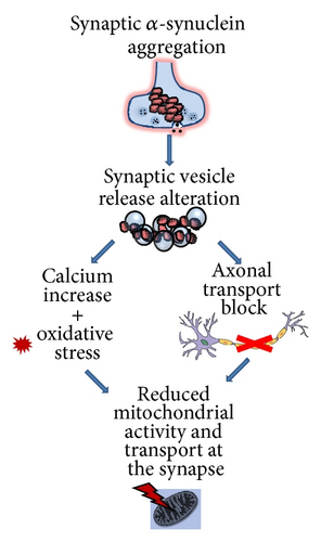 Details are in the caption following the image
