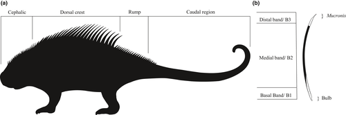 Details are in the caption following the image