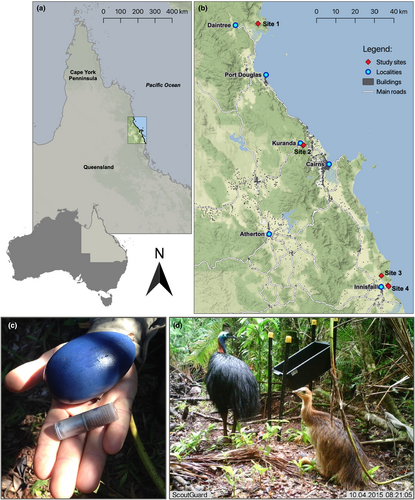 Details are in the caption following the image