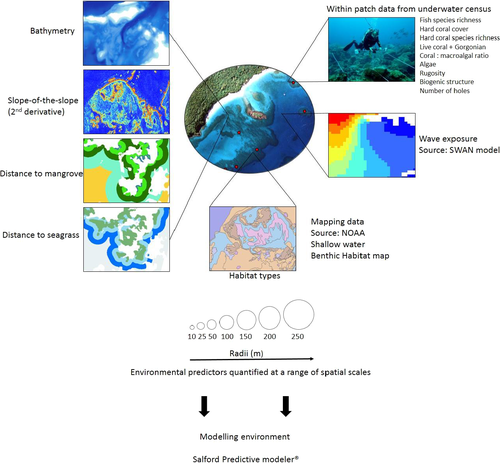 Details are in the caption following the image Details are in the caption following the image
