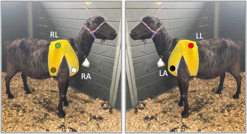 Details are in the caption following the image Details are in the caption following the image