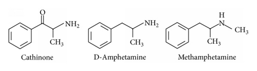 Details are in the caption following the image