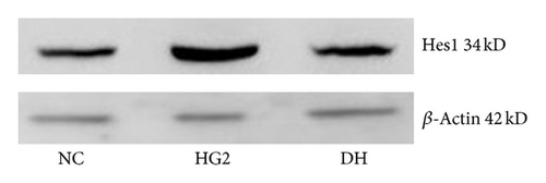 Details are in the caption following the image