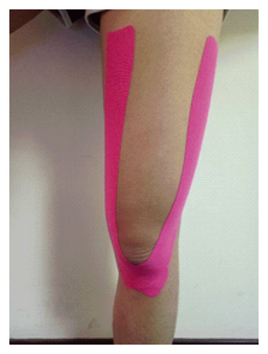 Details are in the caption following the image Details are in the caption following the image