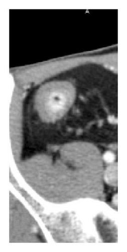 Details are in the caption following the image Details are in the caption following the image