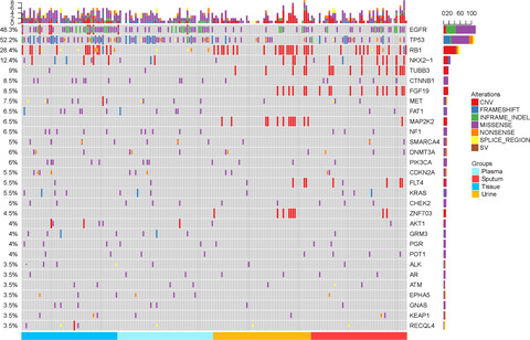 Differences in the genomic profiles of cell-free DNA between plasma, sputum, urine, and tumor tissue in advanced NSCLC