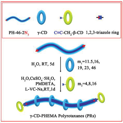 Synthesis and Characterization of Polyrotaxanes Comprising γ-CDs and Distal Azide-Terminated PHEMA Using Propargylamine Monosubstituted β-CDs as End Stoppers