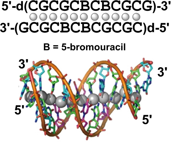 A Novel AgI-DNA Rod Comprising a One-Dimensional Array of 11 Silver Ions within a Double Helical Structure