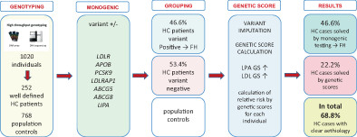 Filling the gap: Genetic risk assessment in hypercholesterolemia using LDL-C and LPA genetic scores