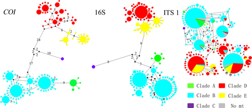 Details are in the caption following the image Details are in the caption following the image