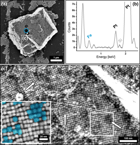 Details are in the caption following the image