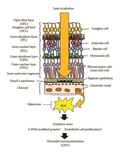 Details are in the caption following the image