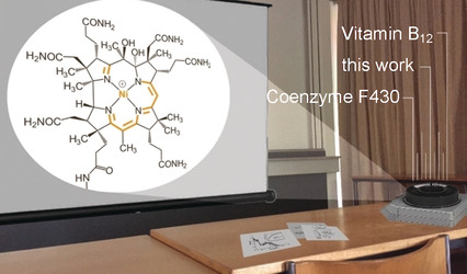 A Nickel(II)-Containing Vitamin B12 Derivative with a Cofactor-F430-type π-System
