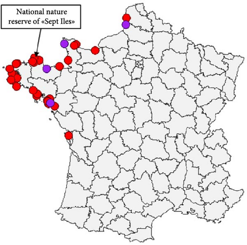 Details are in the caption following the image