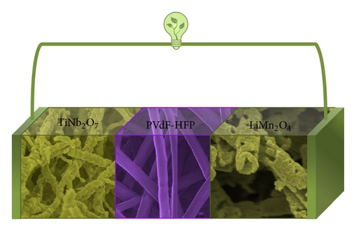 Details are in the caption following the image Details are in the caption following the image