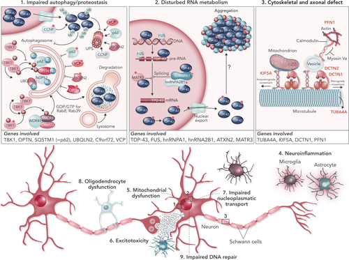 Details are in the caption following the image Details are in the caption following the image