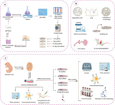 RETRACTED: Generation of Haploid Spermatids on Silk Fibroin-Alginate-Laminin-Based Porous 3D Scaffolds