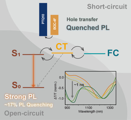 Slow Hole Transfer Kinetics Lead to High Blend Photoluminescence of Unfused A–D–A′–D–A-Type Acceptors with Unfavorable Highest Occupied Molecular Orbitals Offset