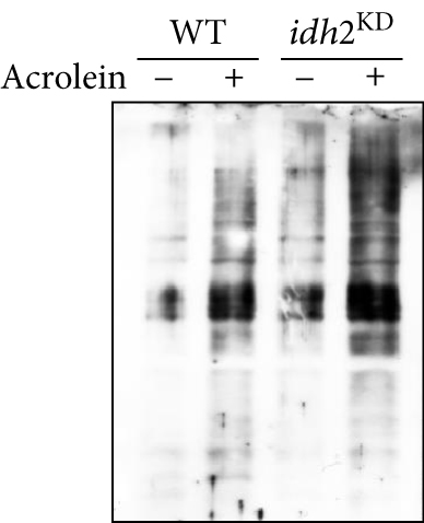 Details are in the caption following the image