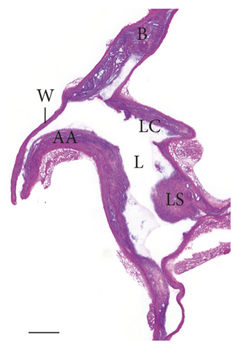Details are in the caption following the image Details are in the caption following the image