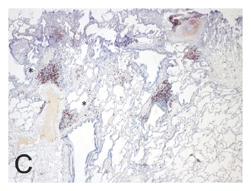 Details are in the caption following the image Details are in the caption following the image
