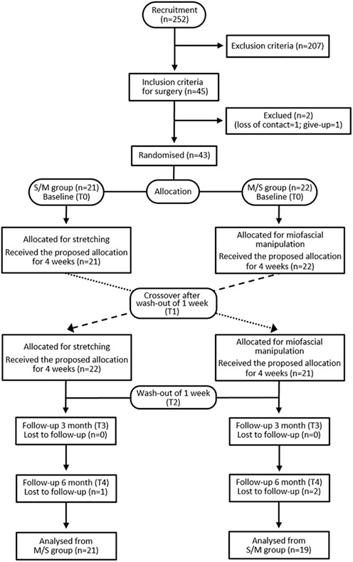 Bilateral Idiopathic Carpal Tunnel Syndrome: Clinical-Functional Characterization and Efficacy of Two Combined Postoperative Physiotherapeutic Treatments