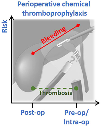 Pre-operative and intra-operative chemical thromboprophylaxis increases bleeding risk following elective cholecystectomy: a multicentre (PROTECTinG) study