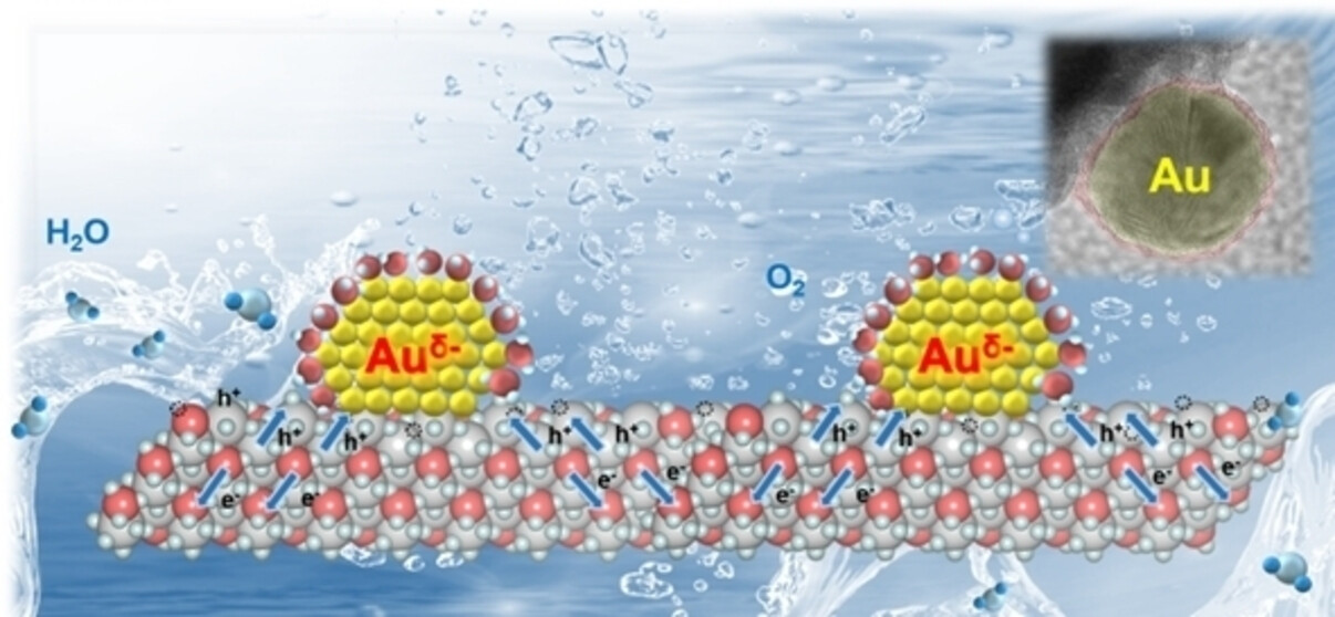 Strong Interactions between Au Nanoparticles and BiVO4 Photoanode Boosts Hole Extraction for Photoelectrochemical Water Splitting