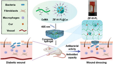 Development of a ZIF-91-Porous-Liquid-Based Composite Hydrogel Dressing System for Diabetic Wound Healing