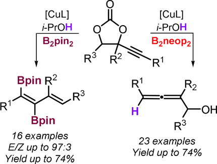 Copper-Mediated Dichotomic Borylation of Alkyne Carbonates: Stereoselective Access to (E)-1,2-Diborylated 1,3-Dienes versus Traceless Monoborylation Affording α-Hydroxyallenes