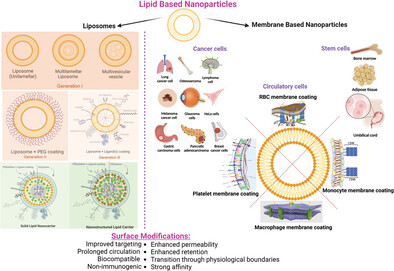 A Review: Surface Engineering of Lipid-Based Drug Delivery Systems