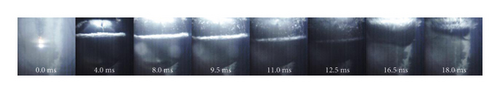 Details are in the caption following the image Details are in the caption following the image