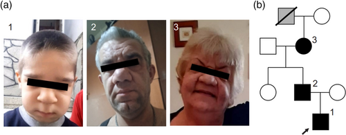 Details are in the caption following the image Details are in the caption following the image
