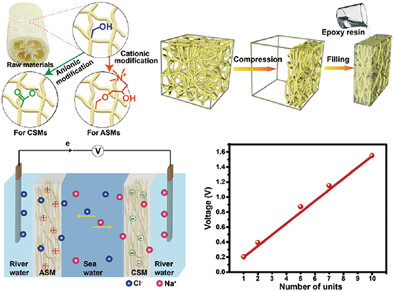 Compressible Ionized Natural 3D Interconnected Loofah Membrane for Salinity Gradient Power Generation