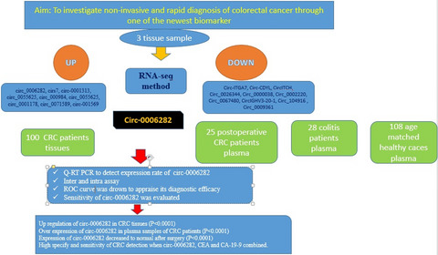 Evaluation of plasma circ_0006282 as a novel diagnostic biomarker in colorectal cancer