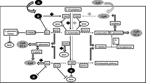 Details are in the caption following the image Details are in the caption following the image