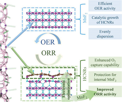 MnF2 Surface Modulated Hollow Carbon Nanorods on Porous Carbon Nanofibers as Efficient Bi-Functional Oxygen Catalysis for Rechargeable Zinc–Air Batteries