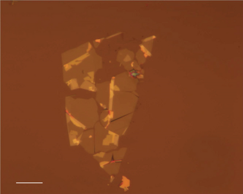 Details are in the caption following the image