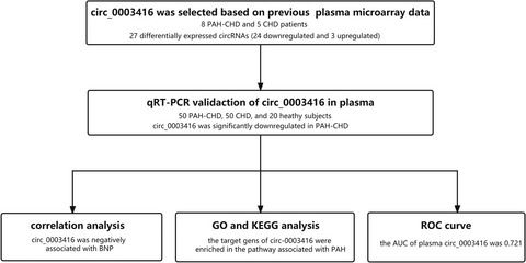 Expression and clinical significance of circular RNA hsa_circ_0003416 in pediatric pulmonary arterial hypertension associated with congenital heart disease